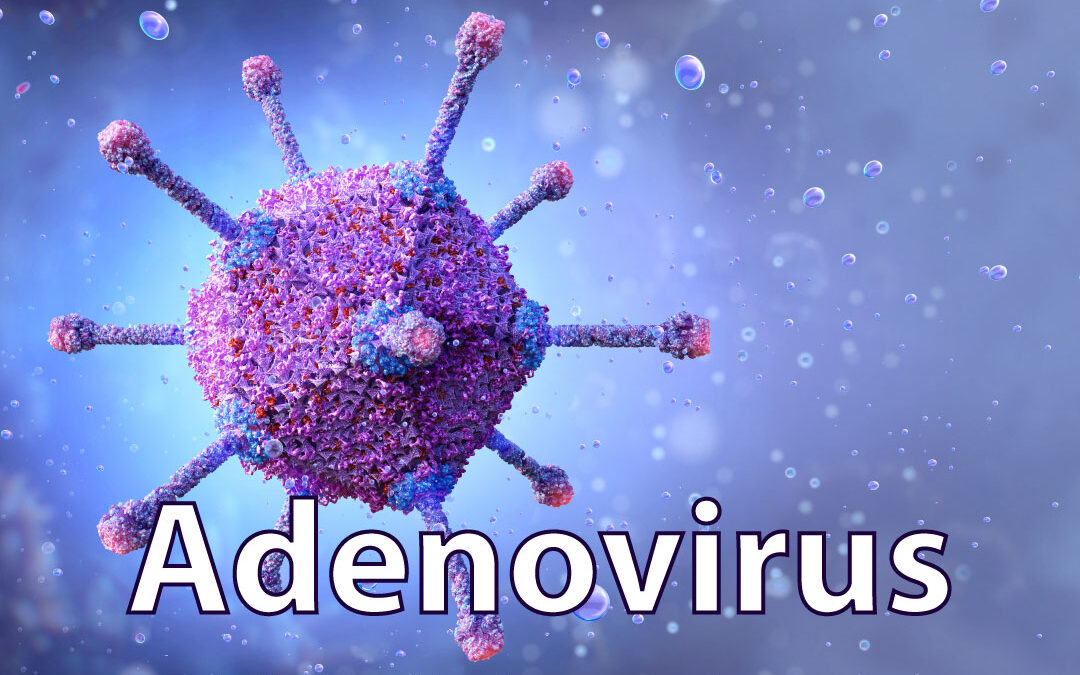 Adenovirus Enfeksiyonu