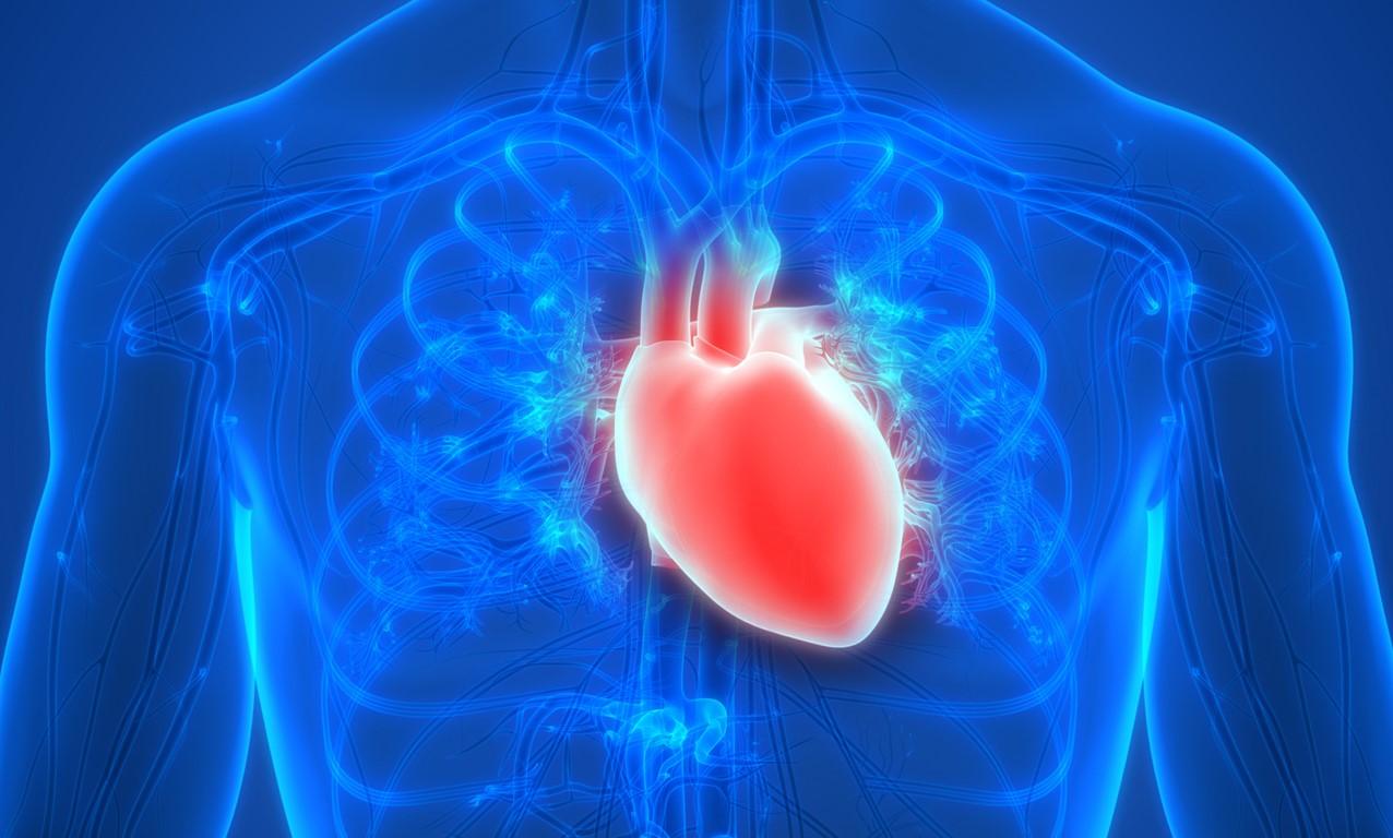 Aort Genislemesi (Anevrizmasi)