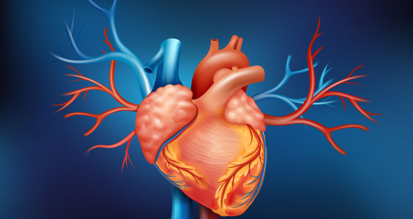 Aort Kapağı Hastalıkları