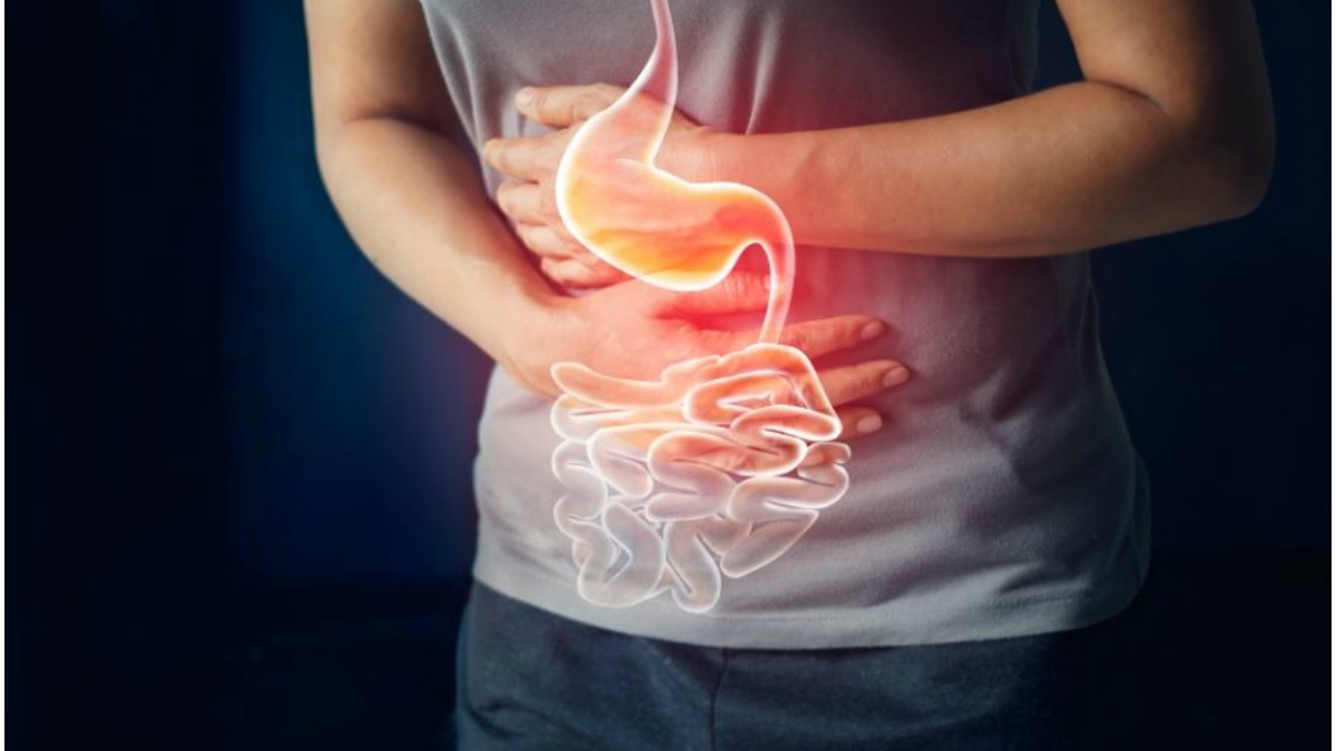Bağırsak Solucanı